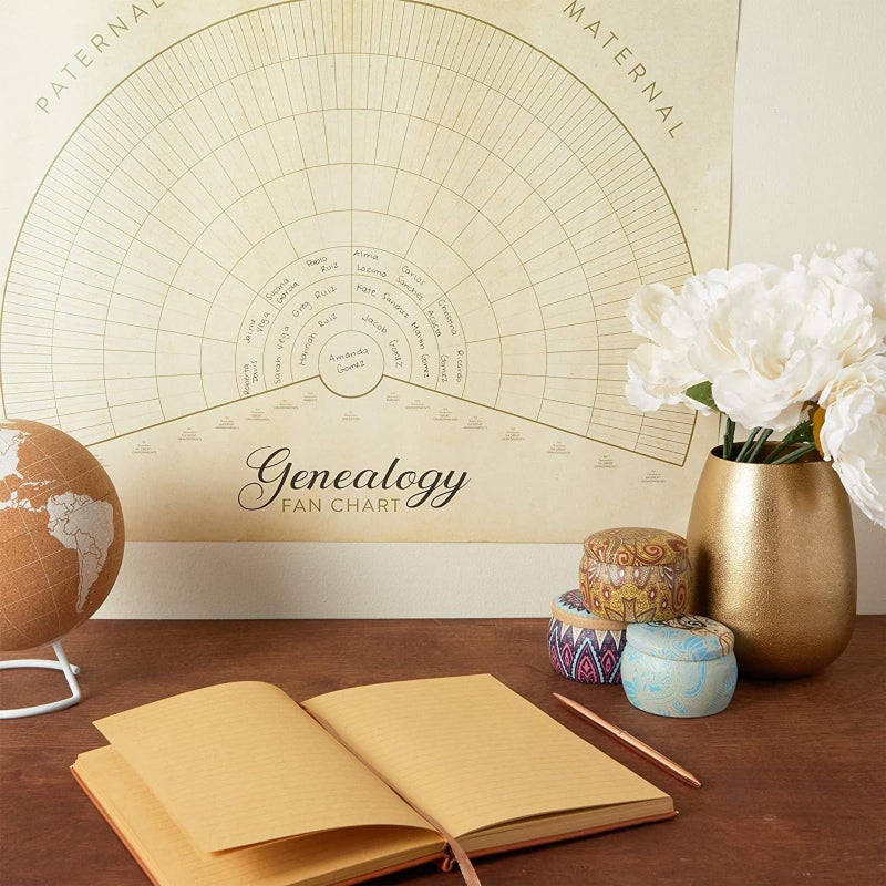 Okuna Outpost Family Tree Charts for Wall & Scrapbook - 17 x 22 in, Multicolor, 15-Pack - Fillable Family Tree Starter Kit & Genealogy Charts to Fill In - Image 3